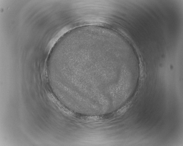 X0000051880883200507151909