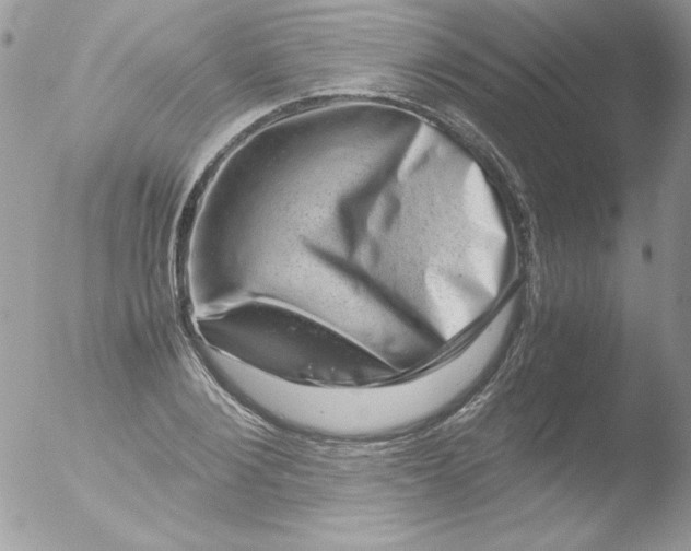 X0000051880884200507151909