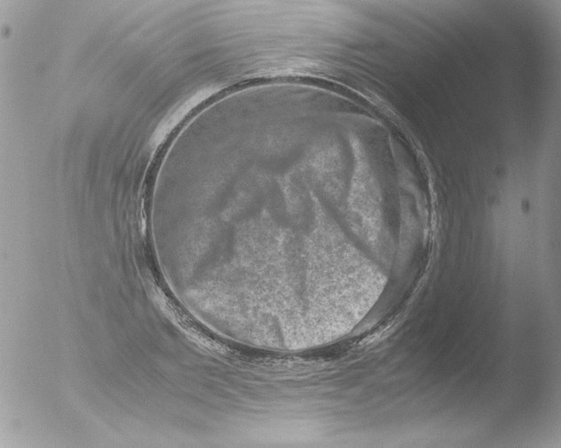 X0000051880885200507151909