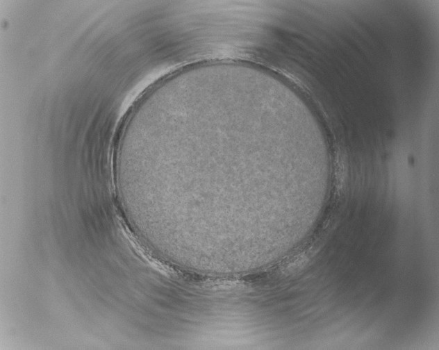 X0000051880886200507151909