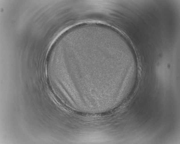 X0000051880887200507151909