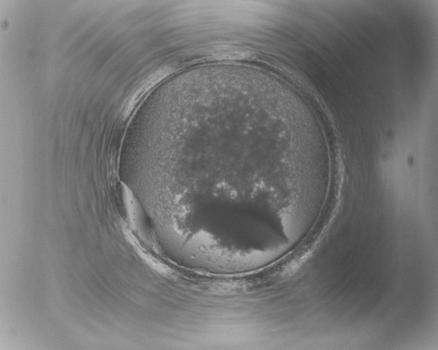 X0000051880889200507151909