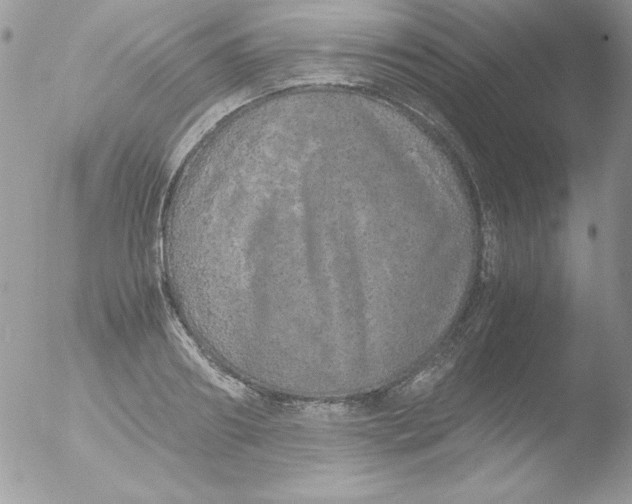 X0000051880890200507151909