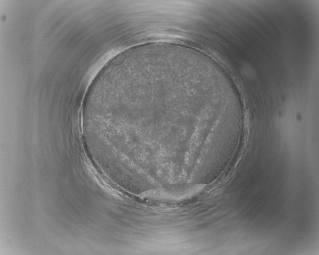 X0000051880891200507151909