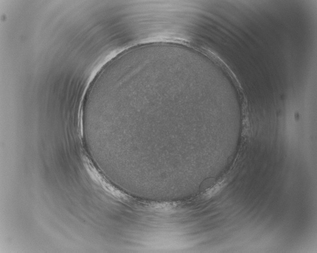 X0000051880892200507151909