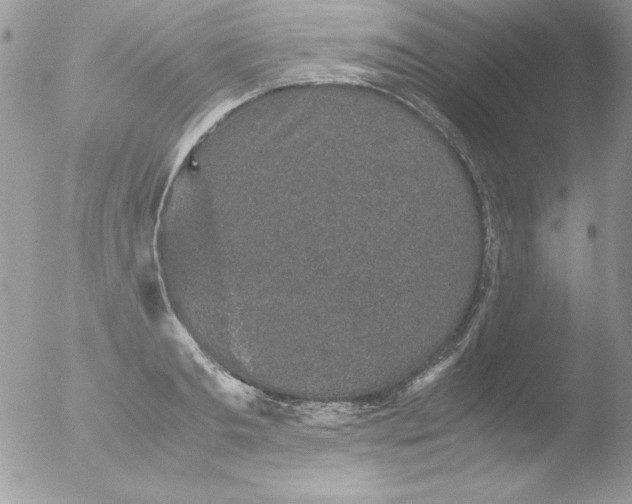 X0000051880893200507151909