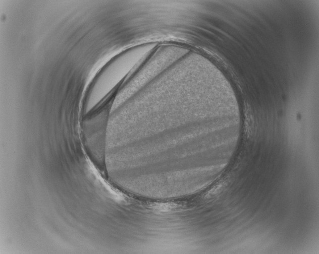 X0000051880894200507151909