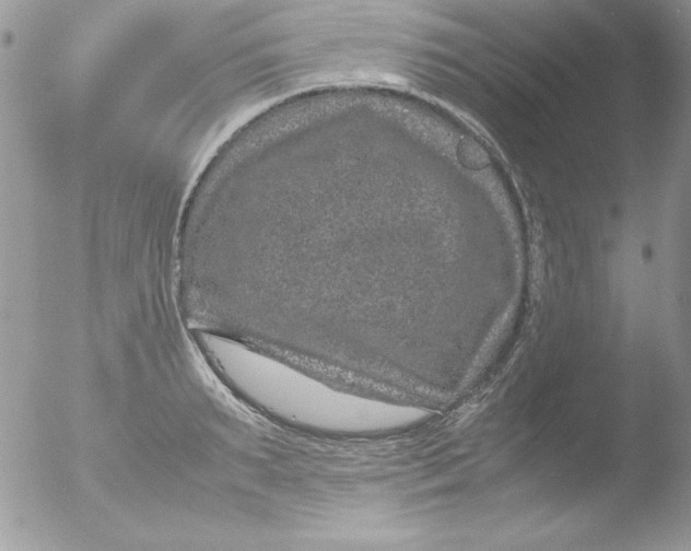 X0000051880895200507151909