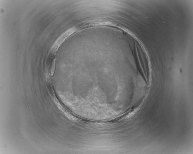 X0000051880897200507151909