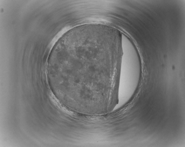 X0000051880899200507151909