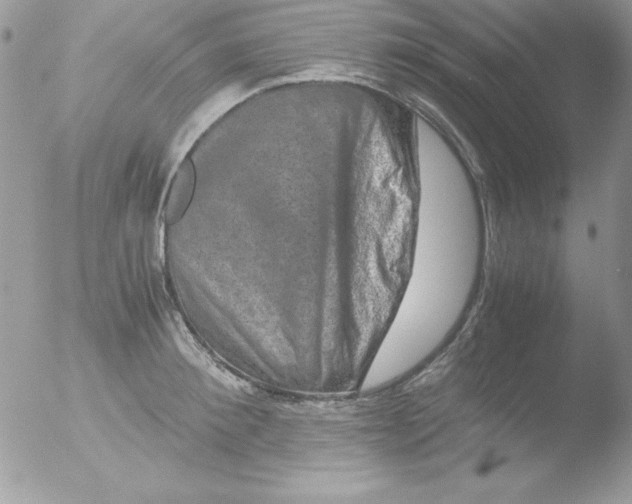 X0000051880900200507151909