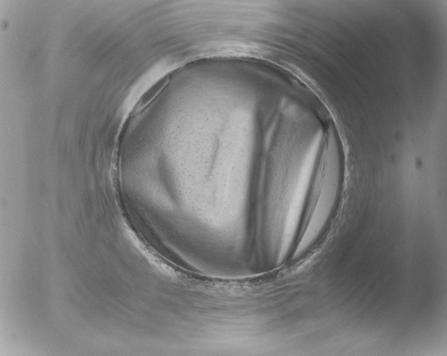 X0000051880901200507151909