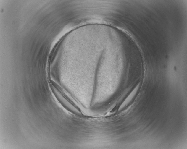 X0000051880902200507151909