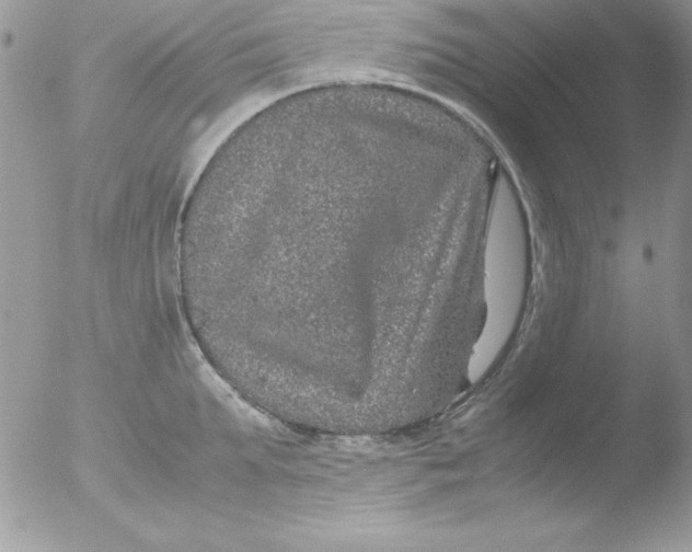 X0000051880903200507151909