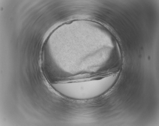 X0000051880904200507151909