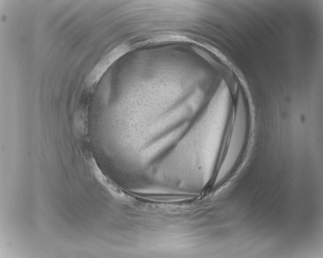 X0000051880905200507151909