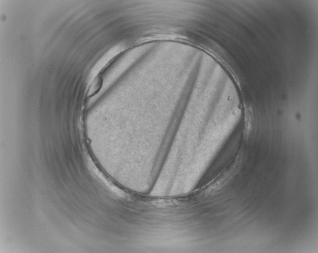 X0000051880906200507151909