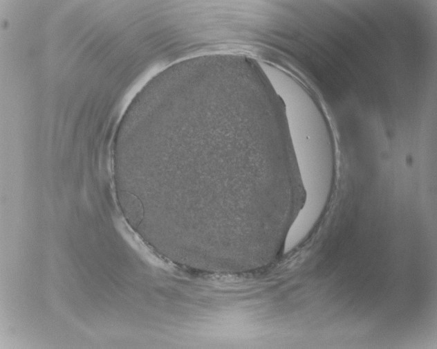 X0000051880907200507151909