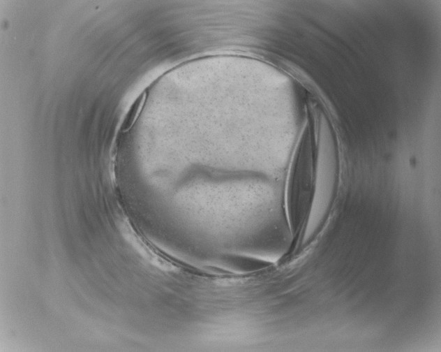 X0000051880908200507151909