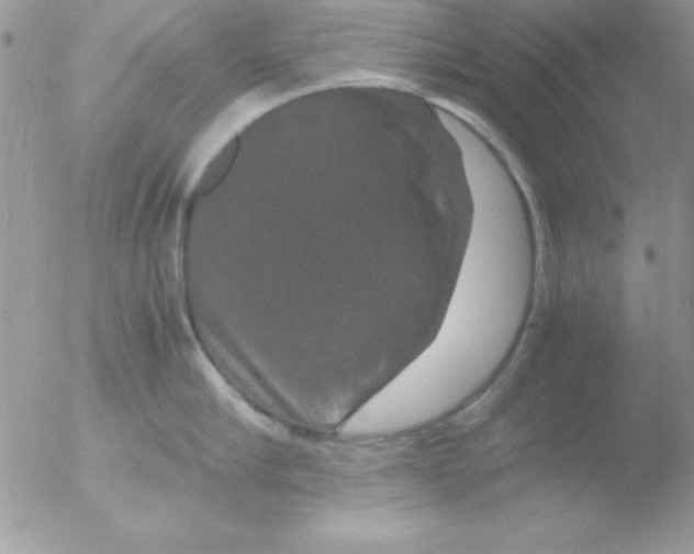 X0000051880910200507151909