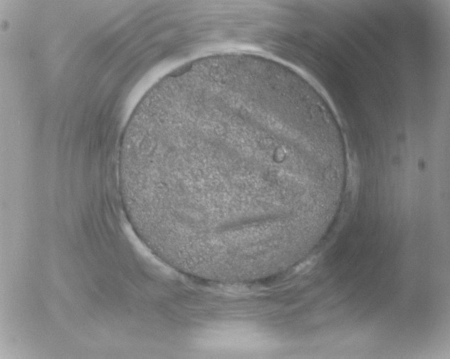 X0000051880911200507151909