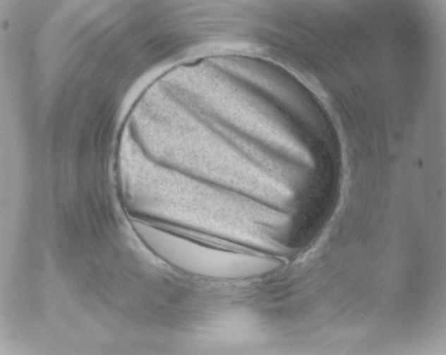 X0000051880912200507151909