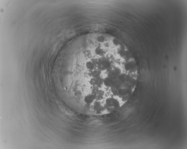 X0000051880913200507151908