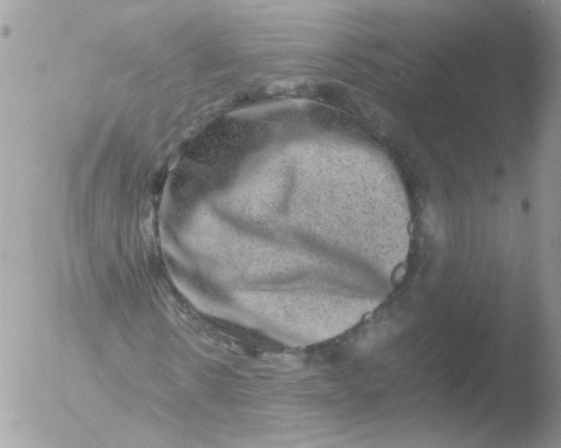 X0000051880914200507151908