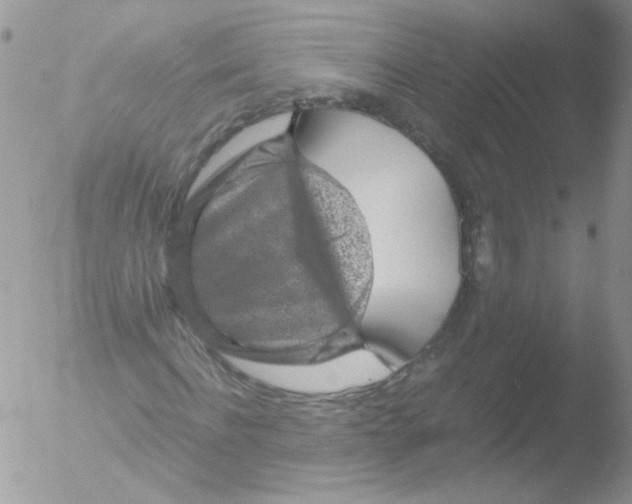 X0000051880916200507151908