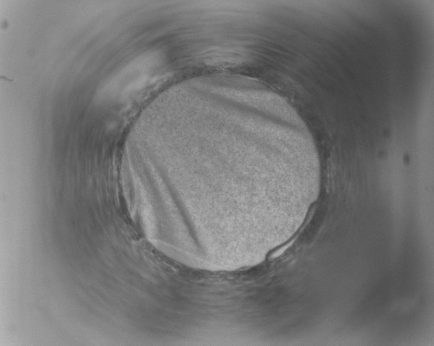 X0000051880917200507151908