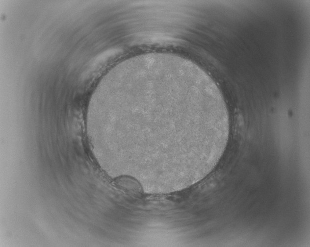 X0000051880918200507151908