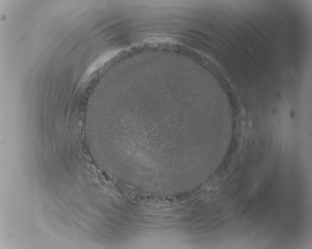 X0000051880919200507151908