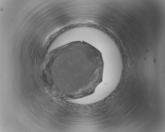 X0000051880920200507151908