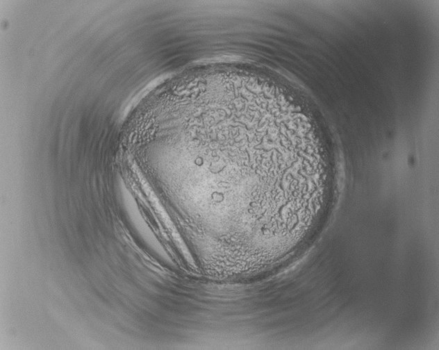 X0000051880921200507151908