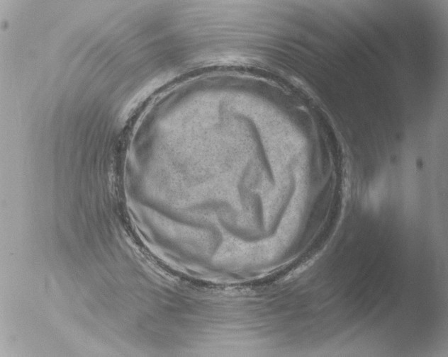 X0000051880922200507151908