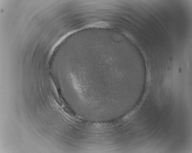 X0000051880923200507151908