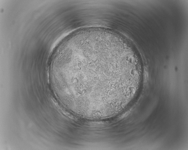 X0000051880925200507151908