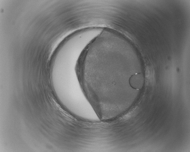 X0000051880926200507151908