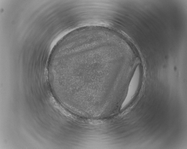 X0000051880928200507151908