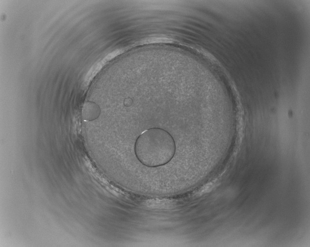 X0000051880929200507151908