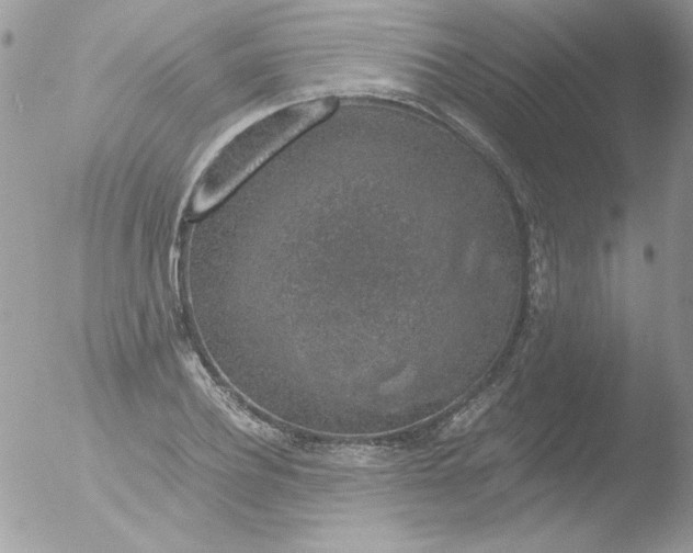 X0000051880932200507151908