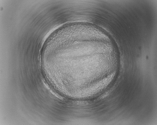 X0000051880933200507151908