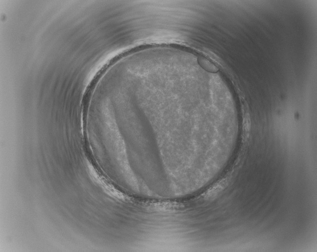 X0000051880934200507151908