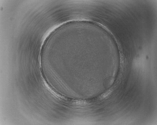 X0000051880935200507151908