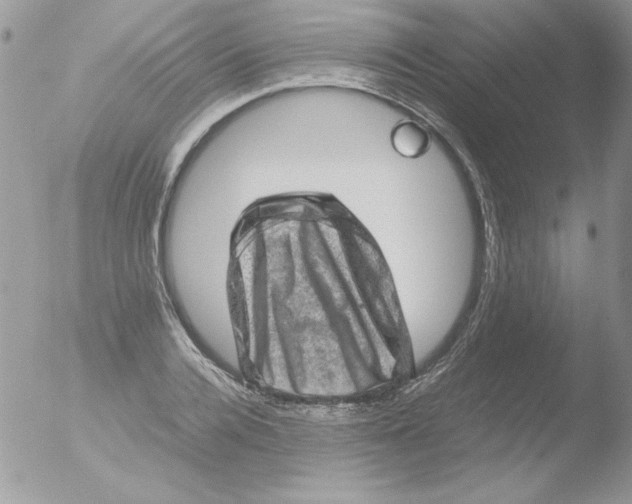 X0000051880936200507151908