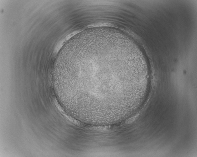 X0000051880937200507151908