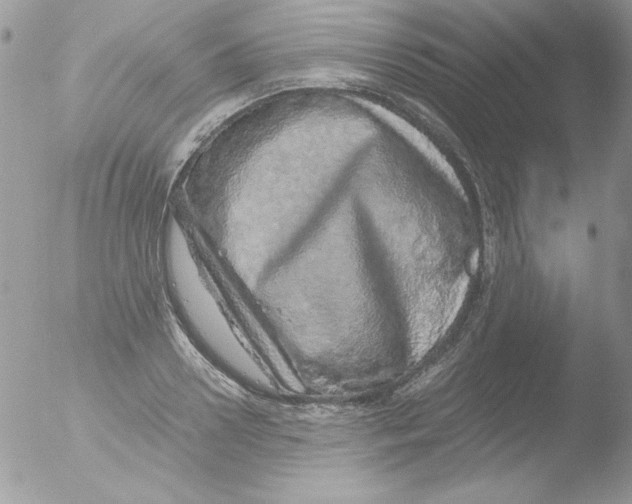 X0000051880938200507151909