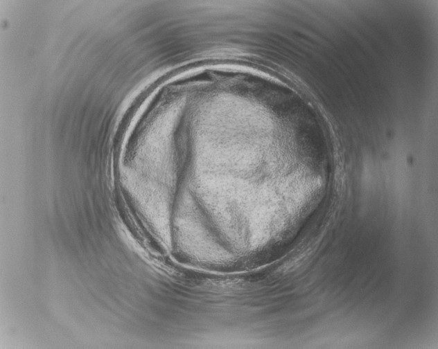 X0000051880939200507151909