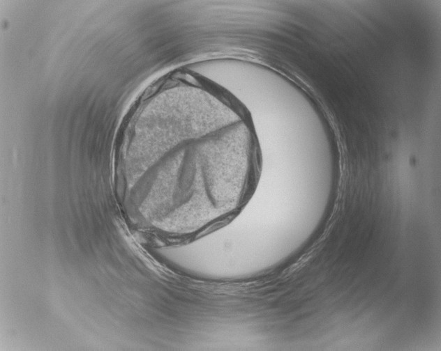 X0000051880940200507151909