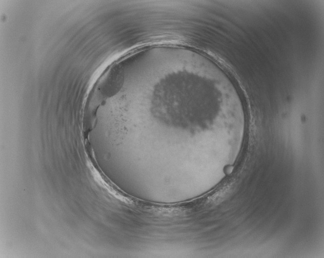 X0000051880941200507151909